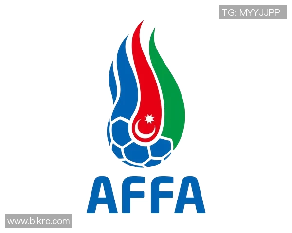 小学足球队队徽设计大全及其寓意解析让你轻松了解各队特色