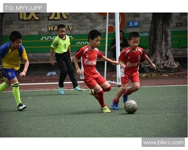 肥宅足球的魅力与挑战:如何在家中享受足球乐趣与健康生活