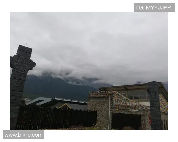 足球戏言背后的真谛与幽默解析让我们一起领略绿茵场上的智慧与风趣