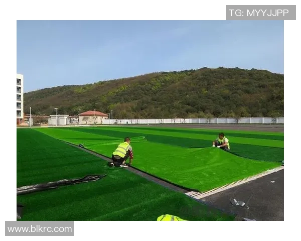 选择优质足球场草种子提升场地质量与运动表现的全面指南