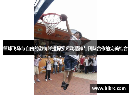 篮球飞马与自由的激情碰撞探索运动精神与团队合作的完美结合
